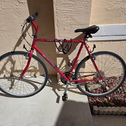 Nutra giant 29 inch bike