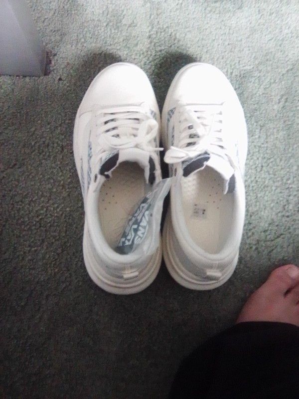 Vans Lows
