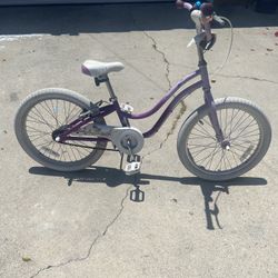 Trek 22’’ Bike Purple