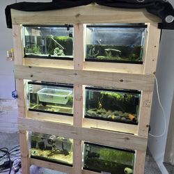 aquarium set up