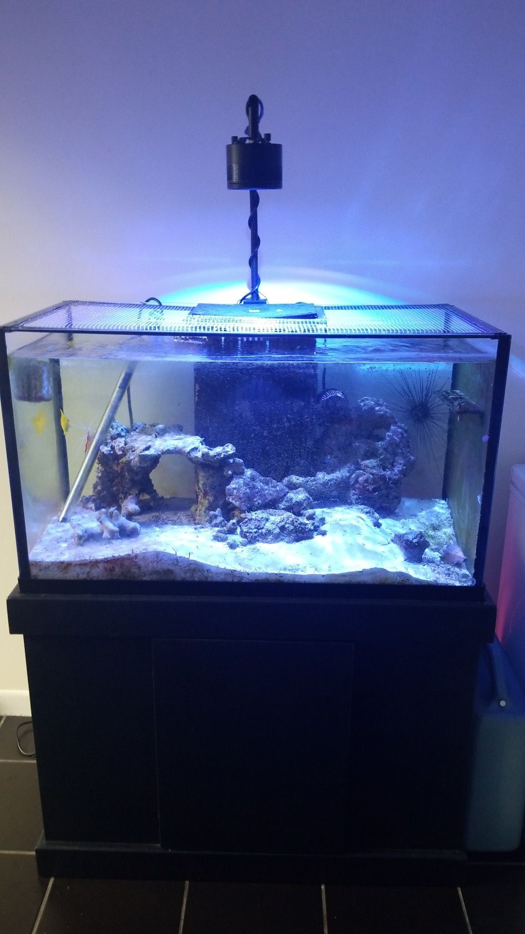 55 gallon aquarium saltwater fish tank for Sale in Fort Lauderdale, FL
