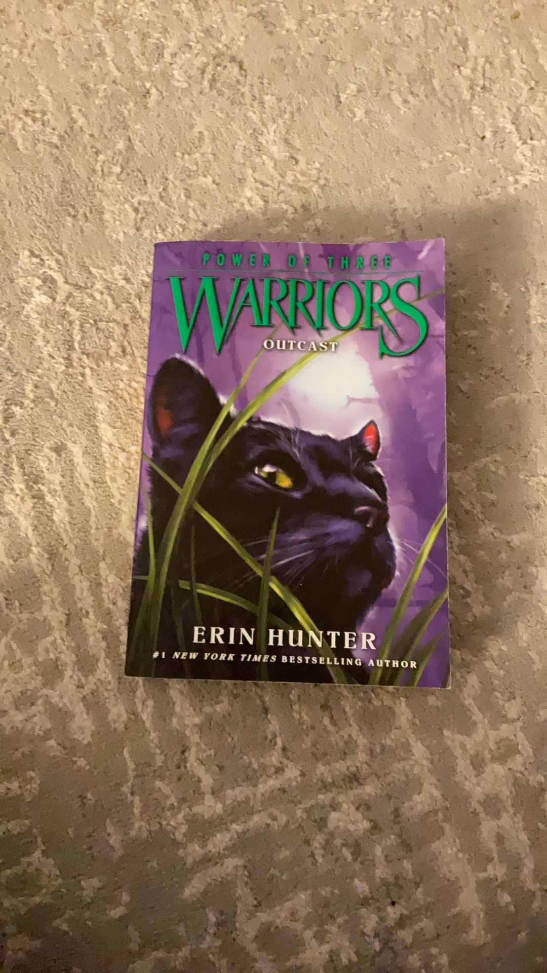 Warriors Outcast Power Of Three Book 3
