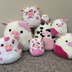 Squishmallow Collection (BNWT)
