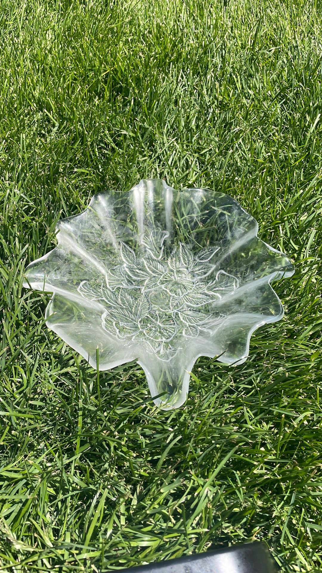 Fruit glass bowl