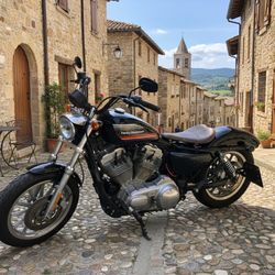 2007 Harley Davidson Sport