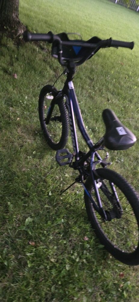 Schwinn Bike Size 20