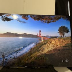 Sony 65” Television !