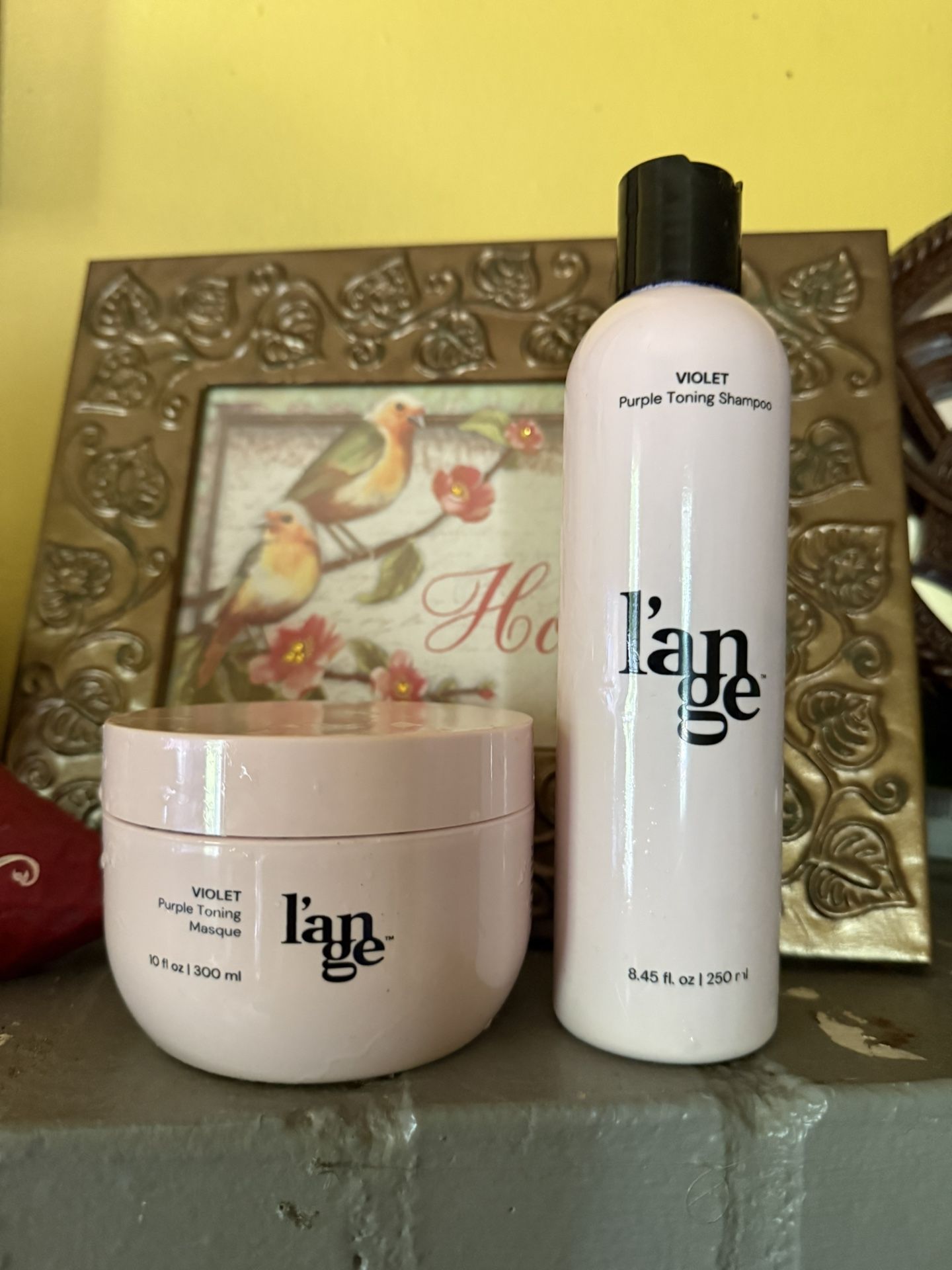 VIOLET Purple Toning Shampoo & VIOLET Purple Toning Masque From L’ANGE