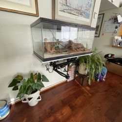 Reptile tank