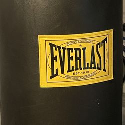 Punching Bag
