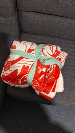 Disney plush lined blanket