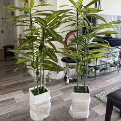 Pretty Artificial Plant 5 FT Tall With Tall White Tall Planter Set Of 2! Brand New