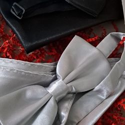 Back To School Bowties For Boys Or Men  $15