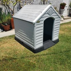 Dog House 