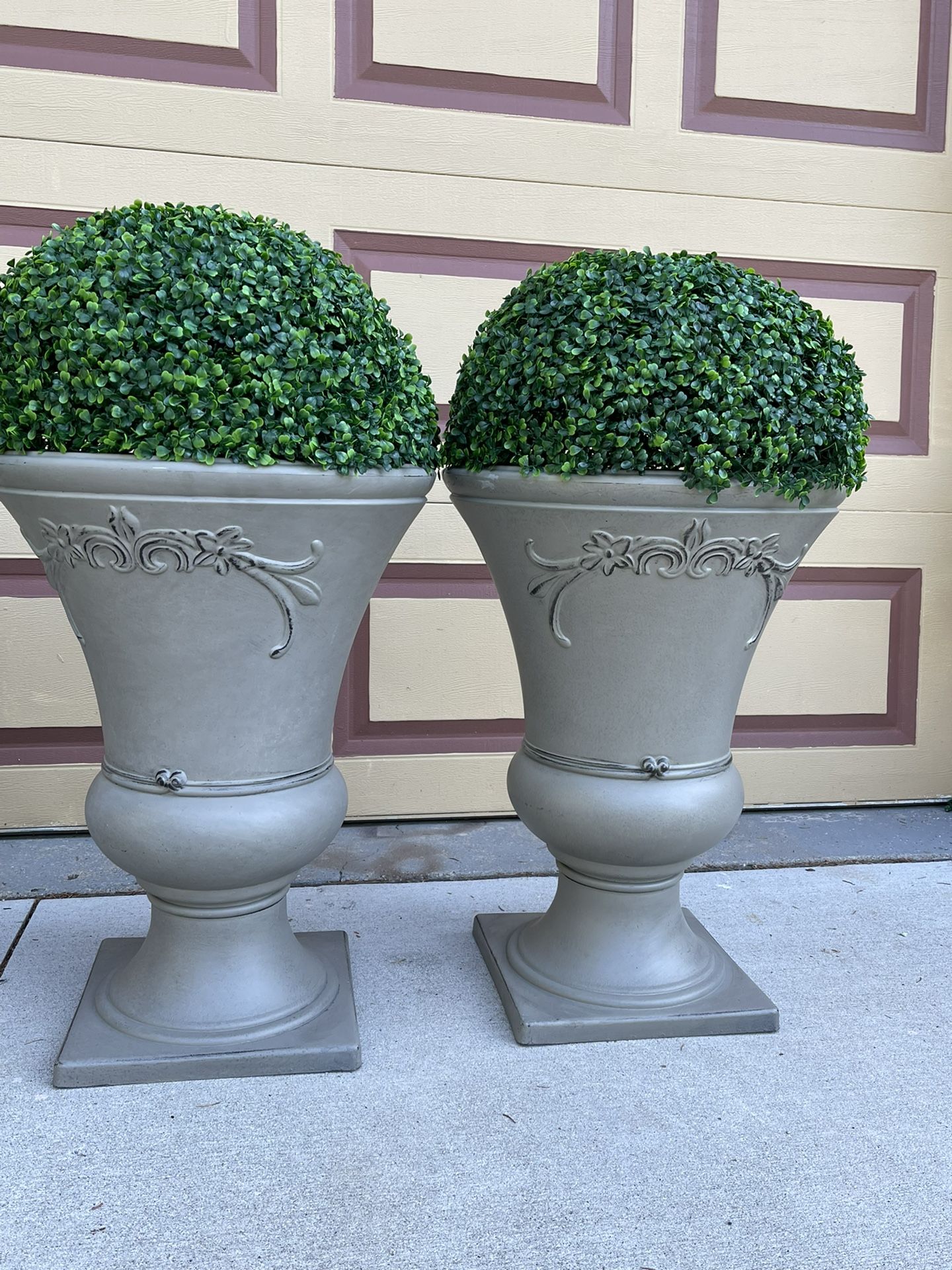 Very Nice 2 Pots plant