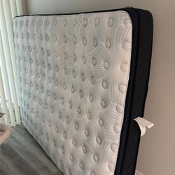 Queen Mattress Firm Mattress