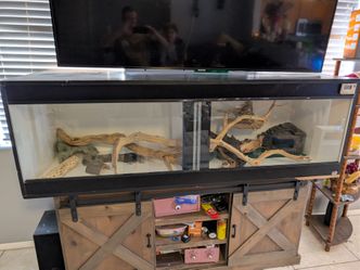 Reptile Enclosure