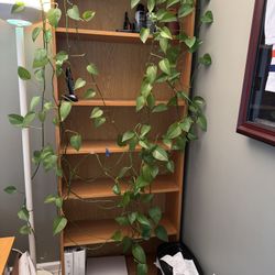IKEA bookcase