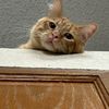𝔾𝕒𝕓𝕪.𝕄 ฅ^•ﻌ•^ ฅ