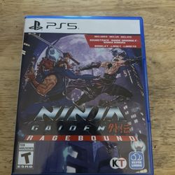 Ninja Garden: Ragebound For PS5