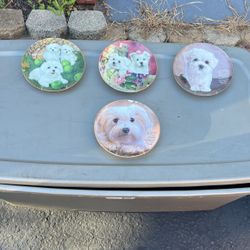 Maltese Collector Plates