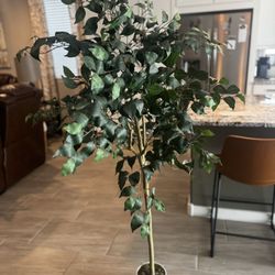 6ft faux Ficus Tree