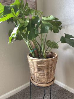 Threshold Basket