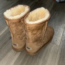 Classic Mini Boot Ugg