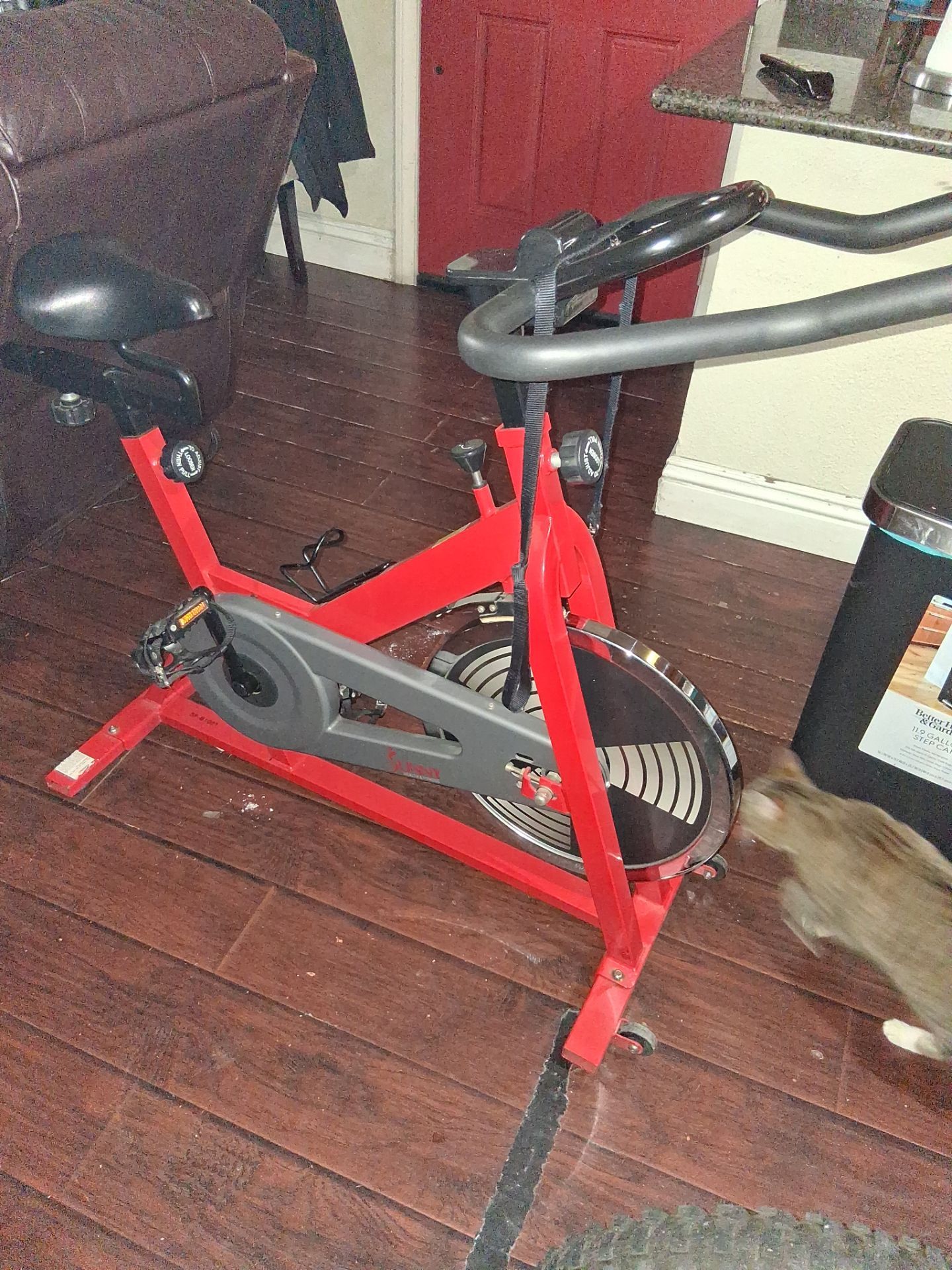 Sunny exercise bike