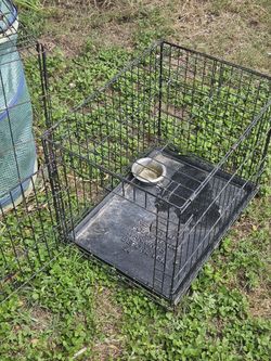 Pet Crate