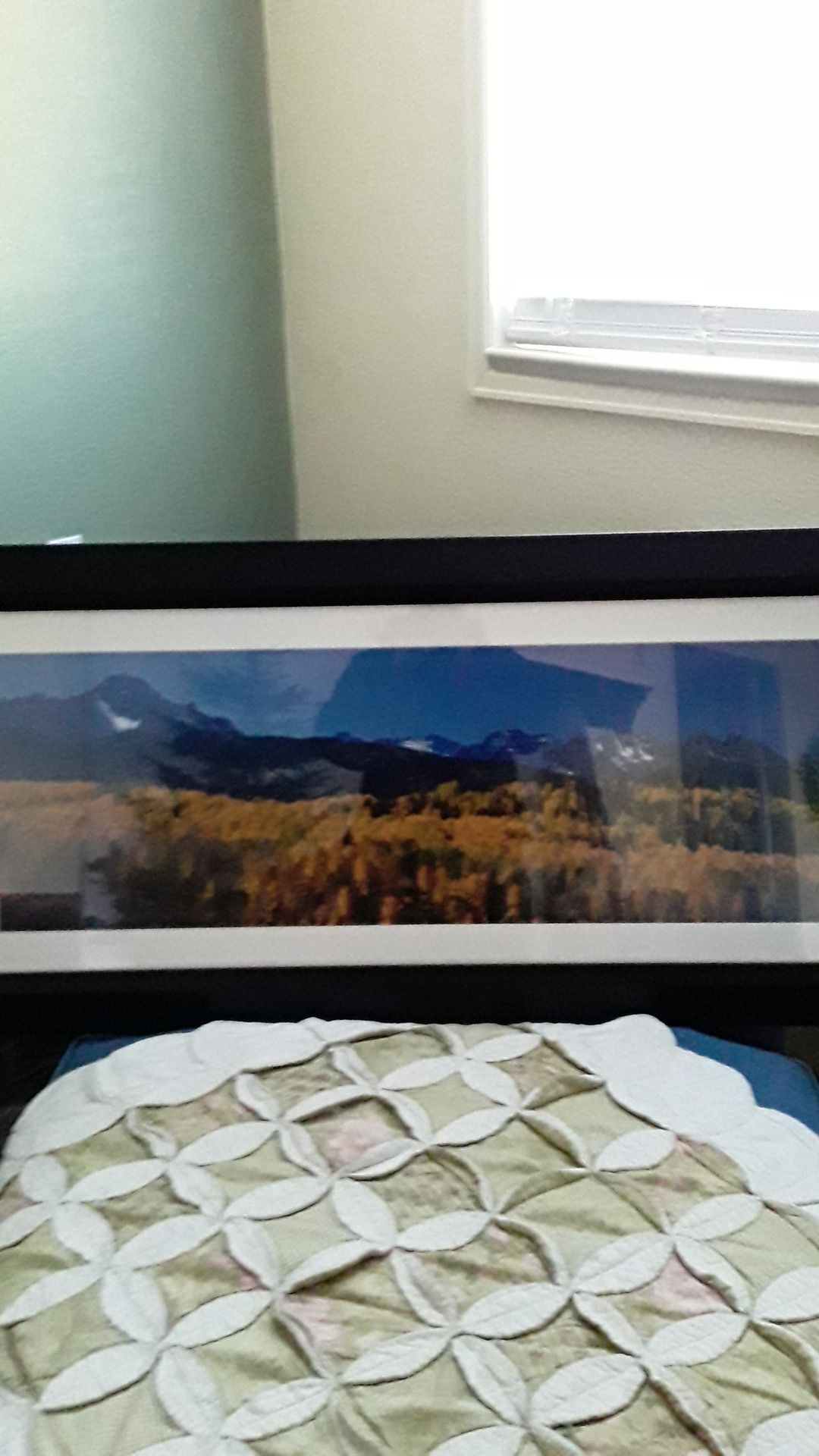 Beautiful framed picture of the Colorado mountains with the aspens in brilliant colors