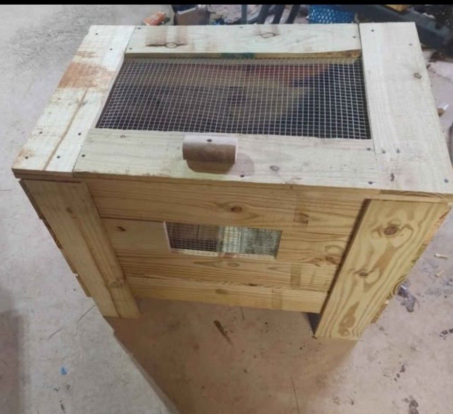 Chick Brooder Boxes