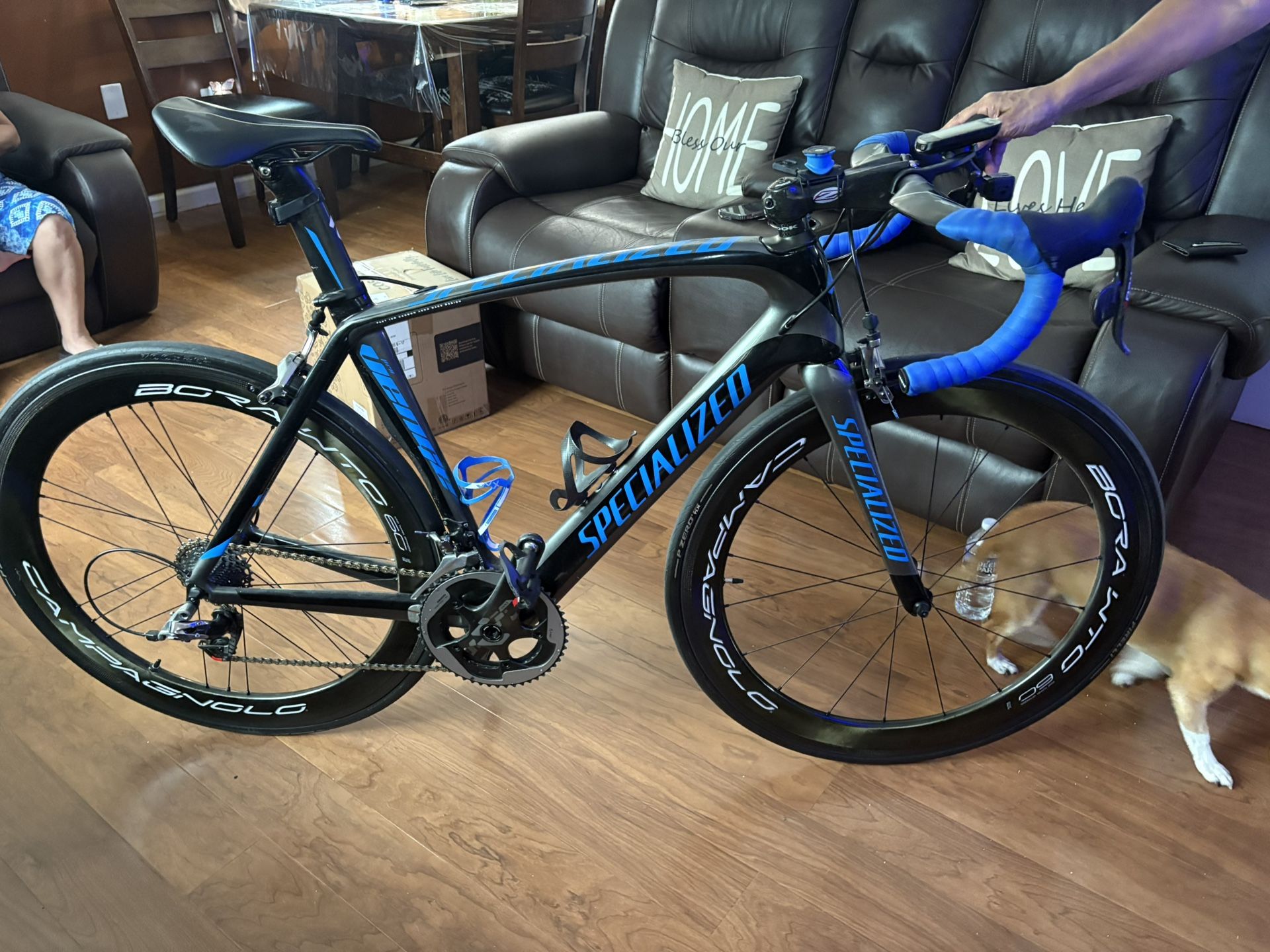 Specialized Racing Bike