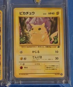 Japanese Pikachu pokemon