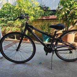 Bike TREK  $120