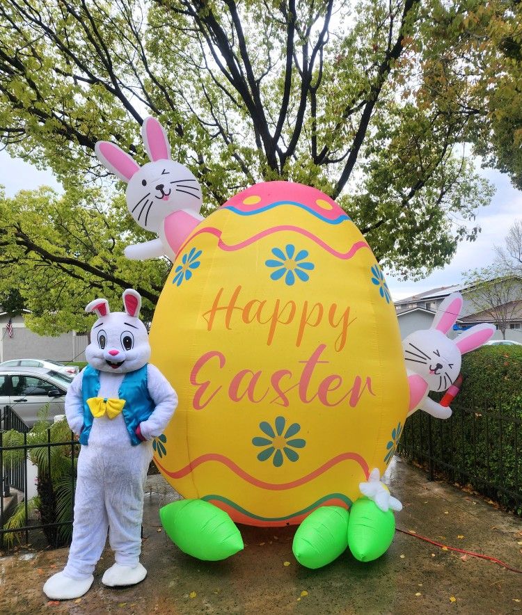 Have the Easter Bunny stop by your event this Easter 2024...