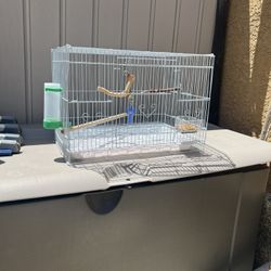 Bird Cage 