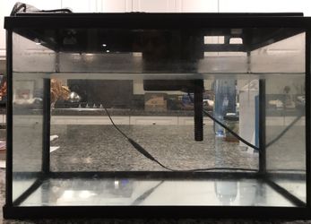 Aquarium 5 Gallon