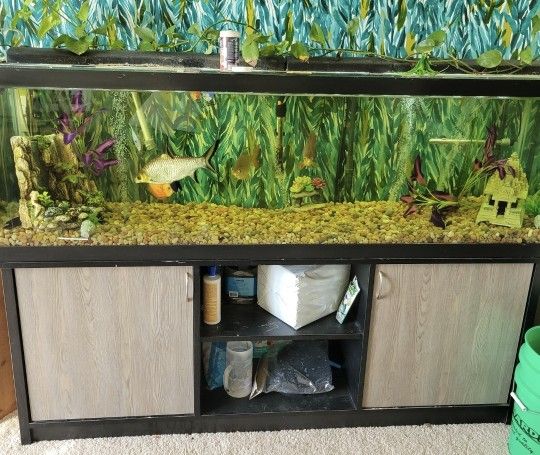 125 Gallon Tank With Stand 