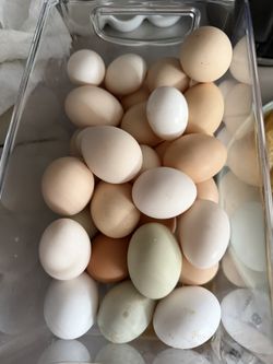 Chicken Eggs 🥚 Duck Eggs 🥚