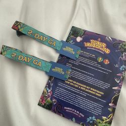 2 SATURDAY BEYOND WONDERLAND GA PASSES