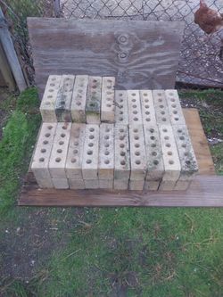 45   White   Bricks    /       45   Ladrillos