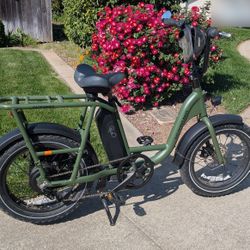 Radrunner 2 Electric Bicycle