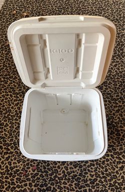 Used Igloo Cooler cash only