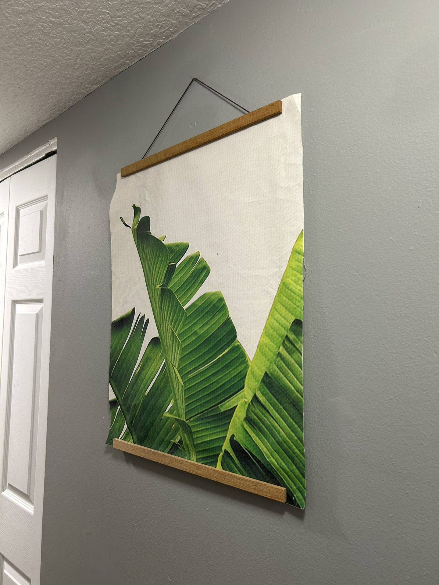 Palm Tapestries And Hangers