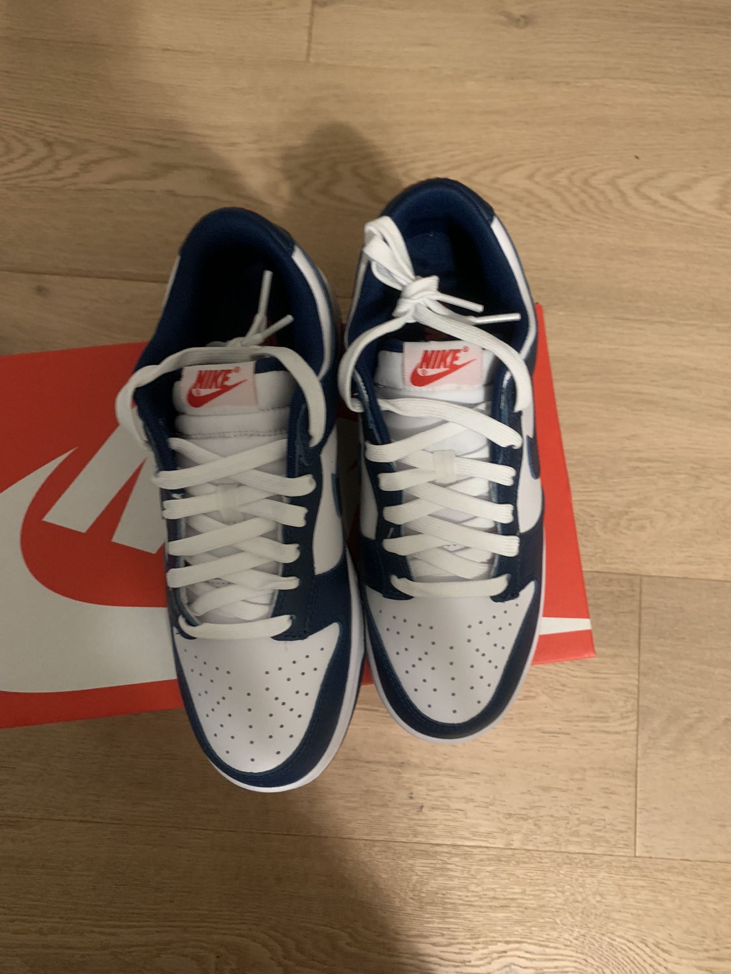 Nike Dunk Low Valerian Blue 8M