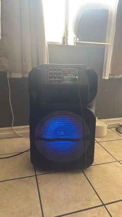 Ridgeway QS-1238 speaker