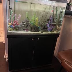 65 gallon Fish Tank Aquarium