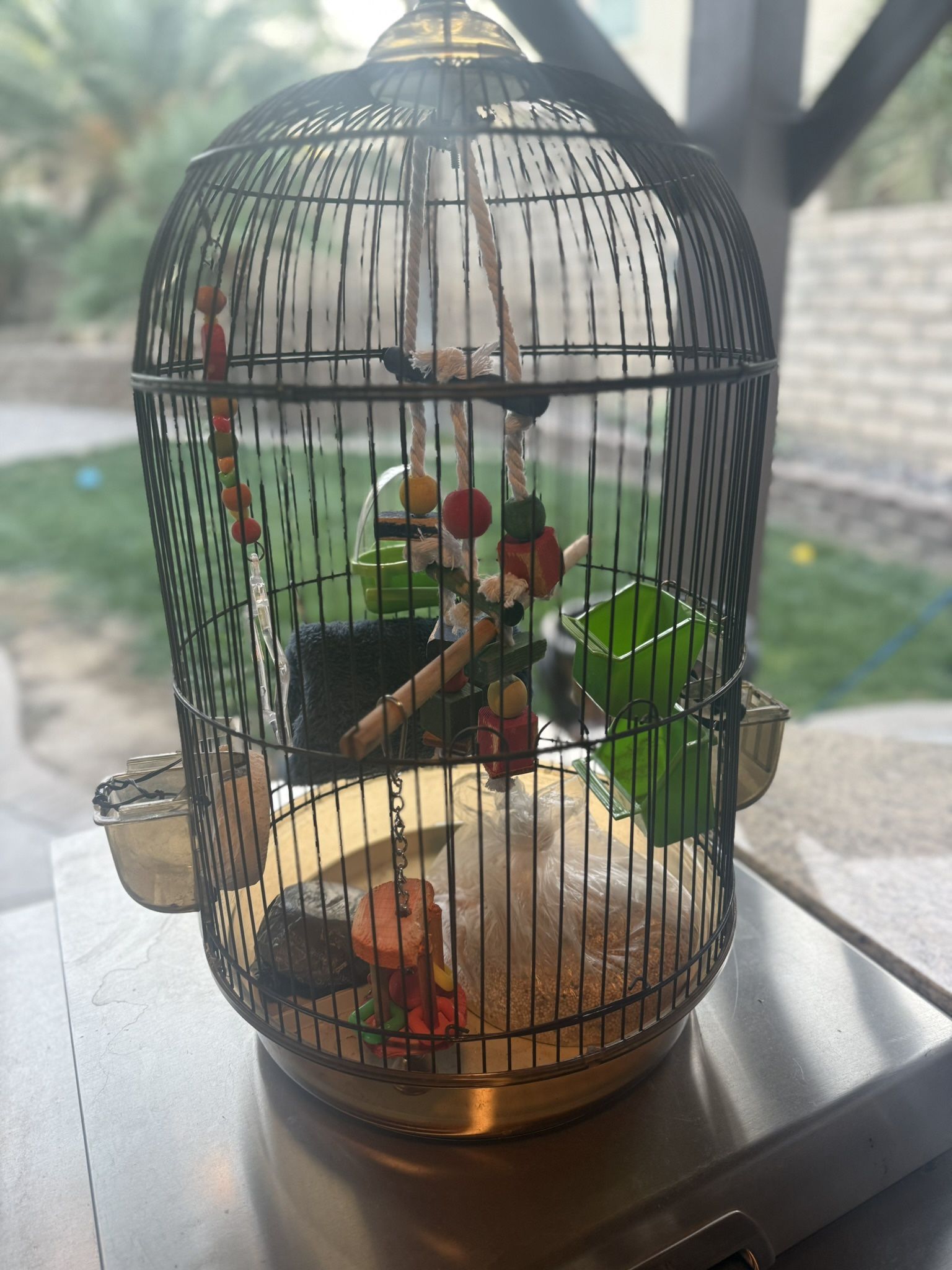 Bird Cage