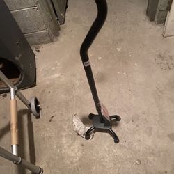 Cane